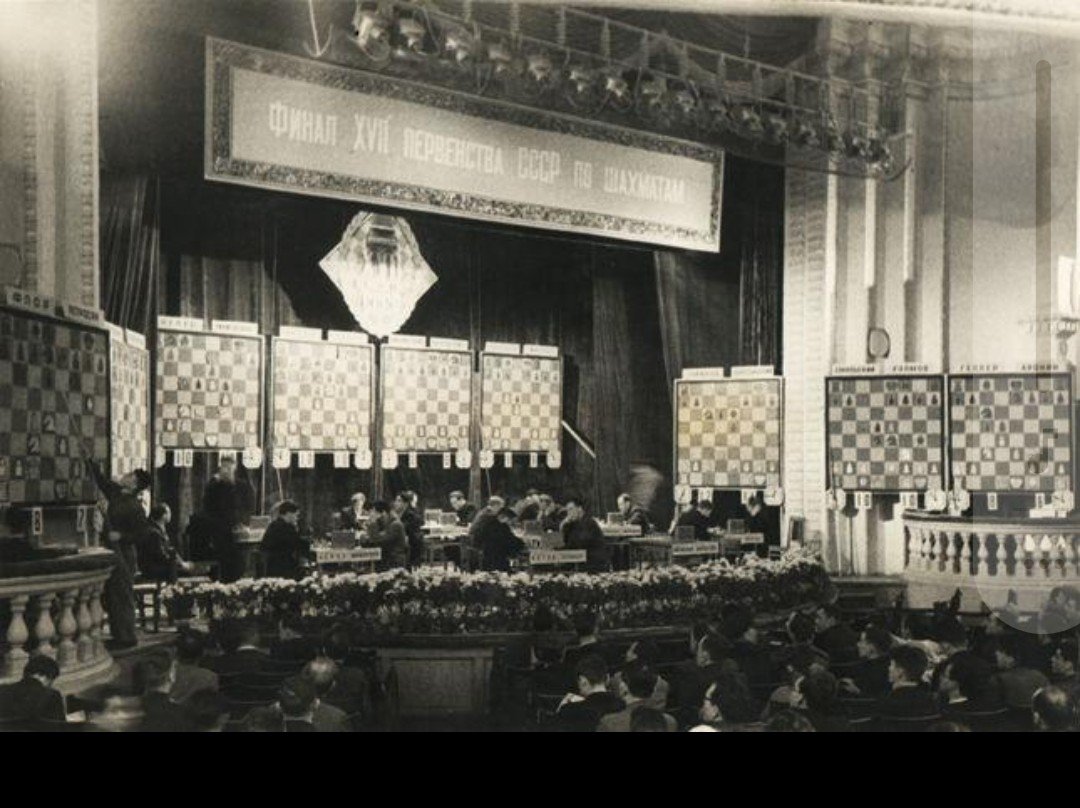 صورة داخل المقال
